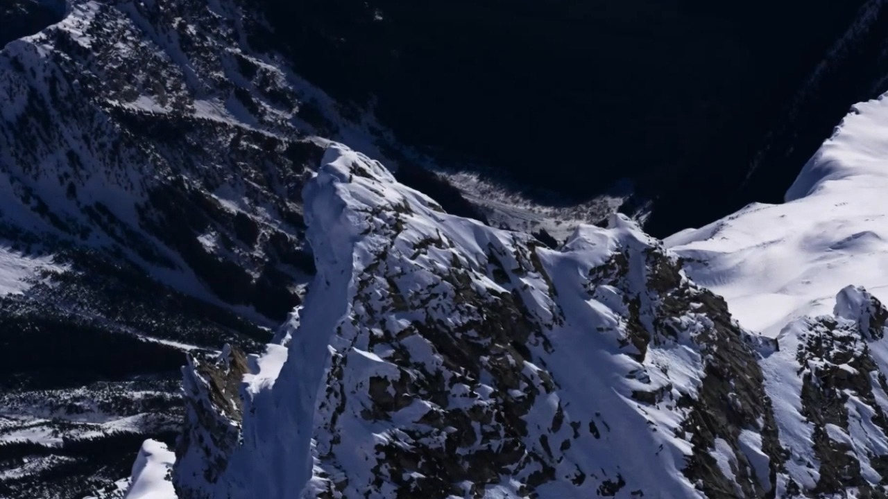 kzoo 欢迎来到动物园世界 伴奏 和声伴奏