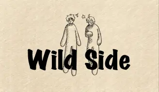 Download Video: 【2024米诞】Wild☆Side【米英】