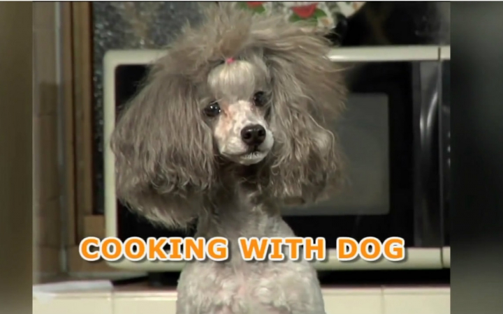 [图]【cooking with dog】2008年1月-4月合集