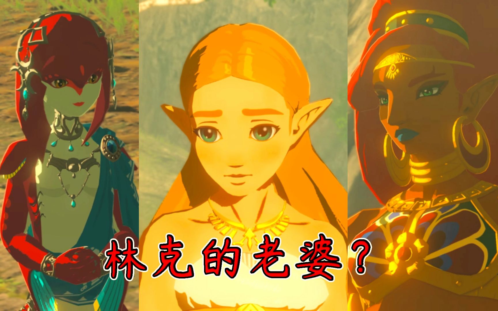 活动作品那一天林克终于想起老婆长什么样子了