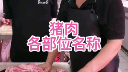 猪肉各部位名称哔哩哔哩bilibili