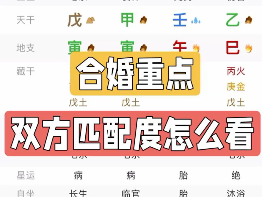 八字合婚合盘怎么看双方的匹配度?小细节拉满!哔哩哔哩bilibili