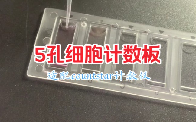 误差1um,批次稳定性更好,5孔计数板,适配countstar计数仪,主打一个
