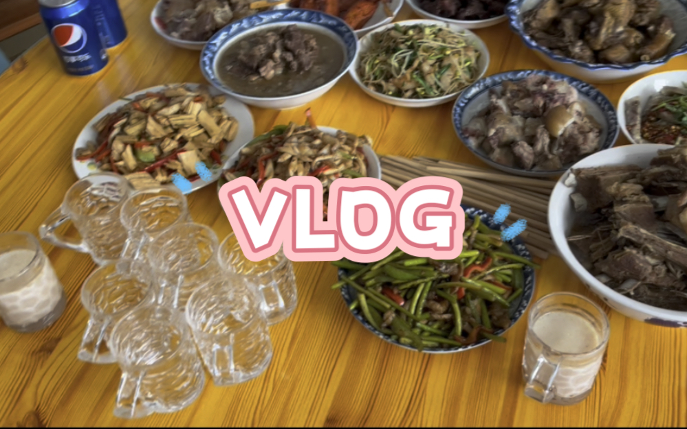 VLOG|春节炫饭日常哔哩哔哩bilibili