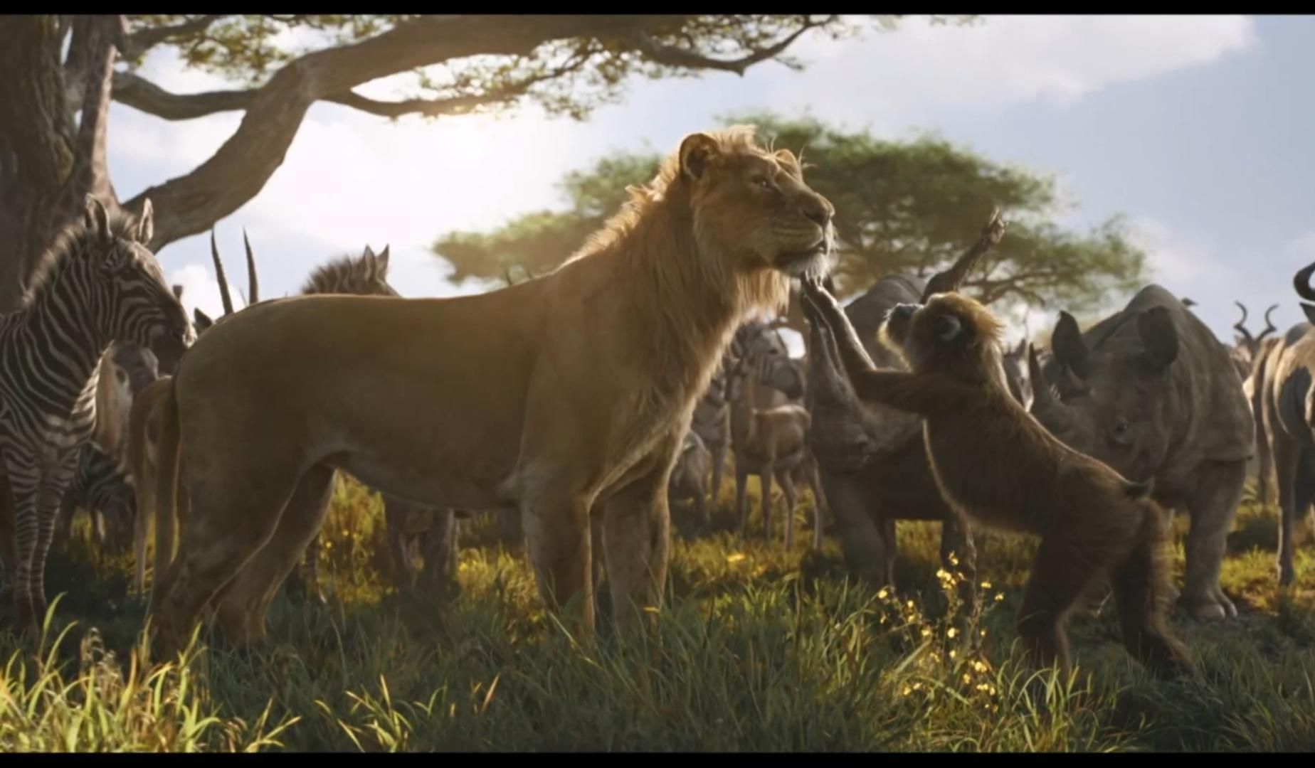 还有不到十天,迪士尼真人版《狮子王:木法沙传奇》最新预告