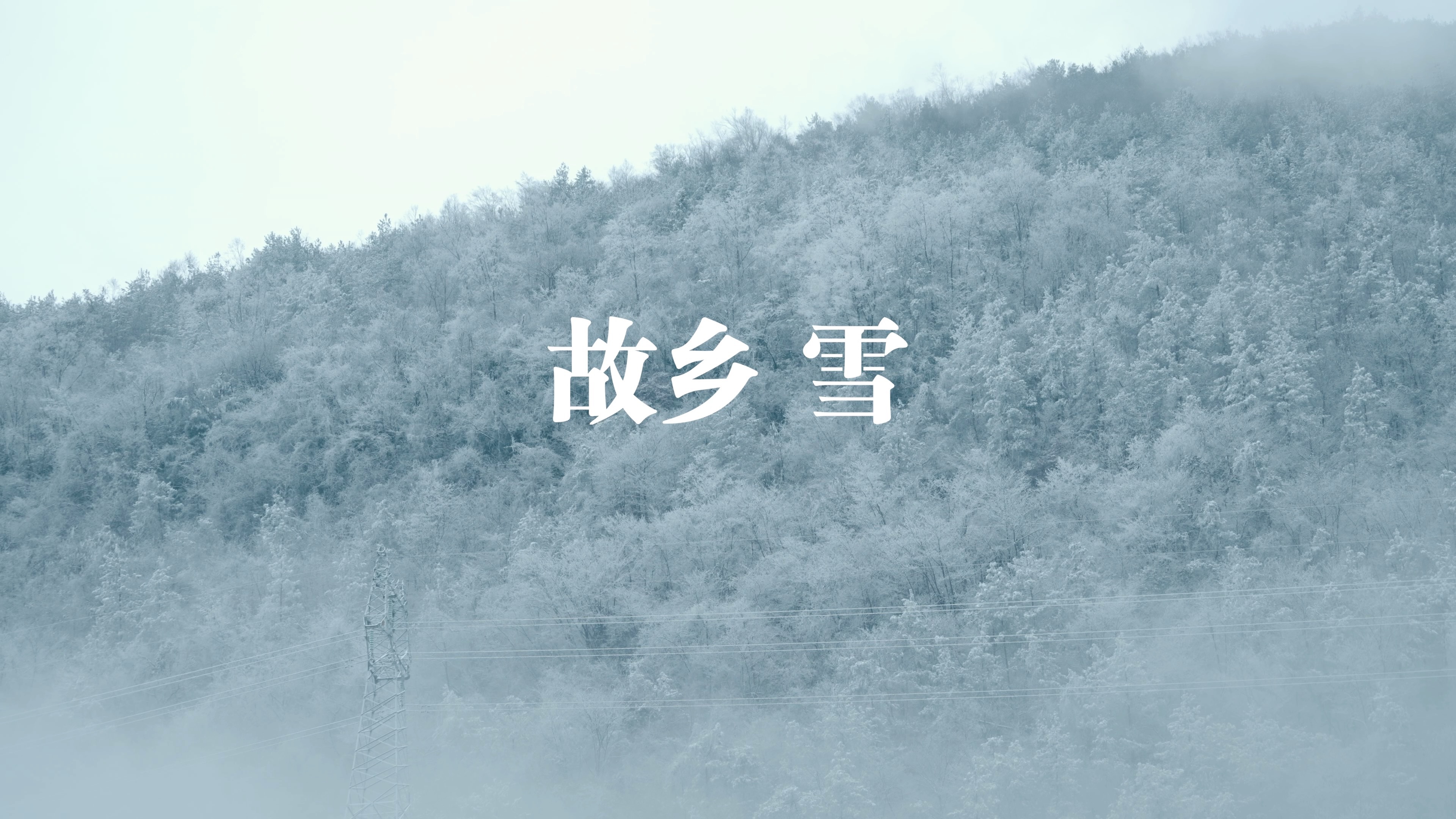 一年见一次故乡的雪哔哩哔哩bilibili