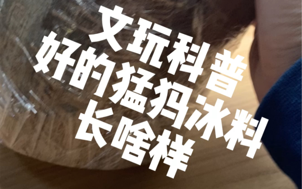 [图]从猛犸冰料原料一点一点讲起，下期说说纯芯无纹真的是从牙芯切出来的吗