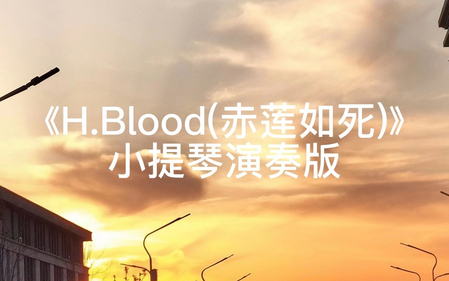 [图]《H.Blood（赤莲如死）》谢澜小提琴演奏