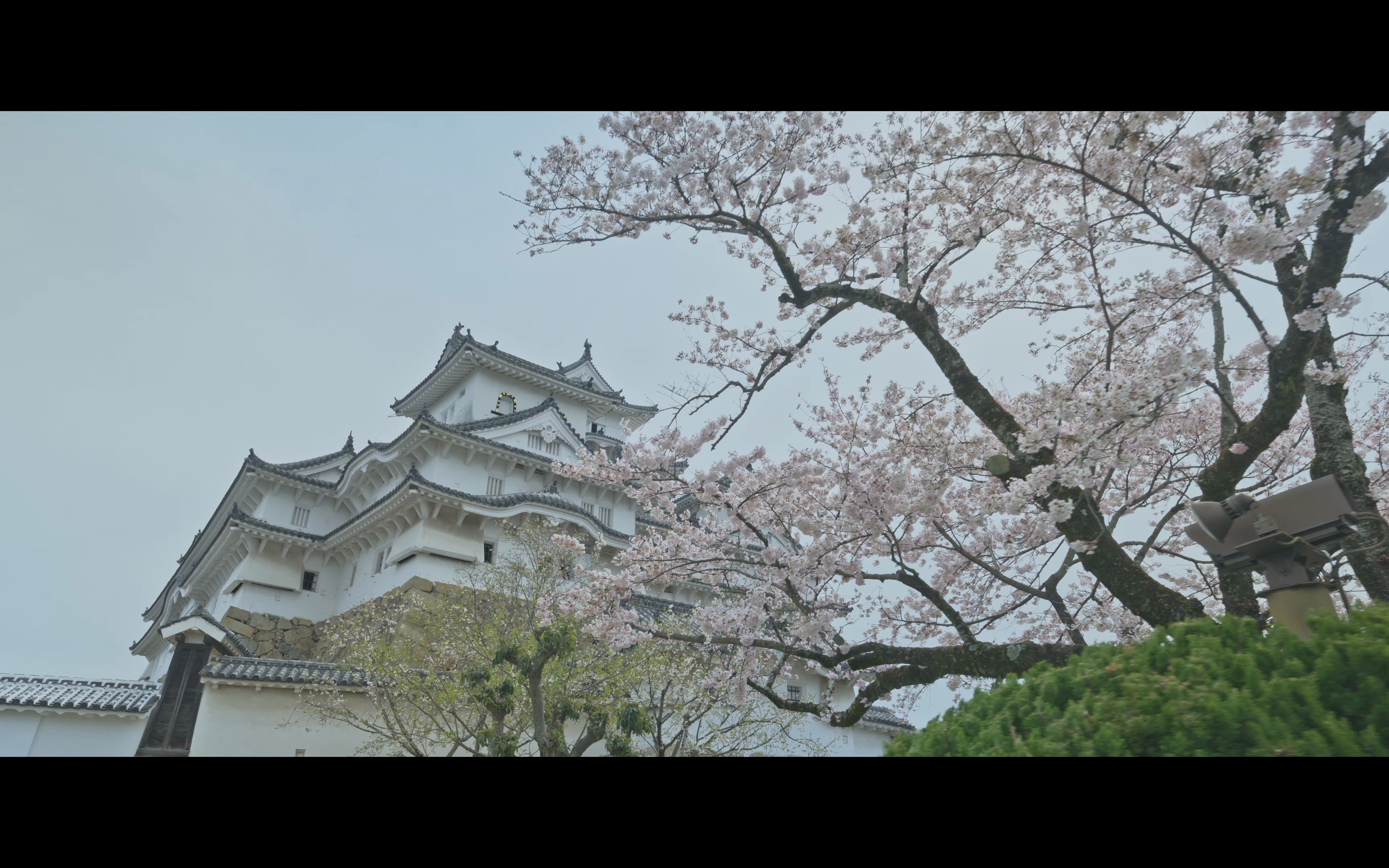 【8k极高清-日本】尼康z9拍摄日本兵库县姬路城堡樱花酒店_哔哩哔哩
