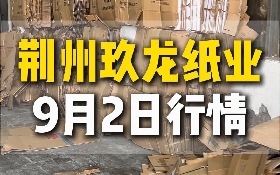 9月2日湖北荆州玖龙纸业采购行情参考哔哩哔哩bilibili