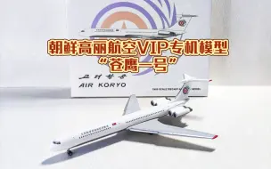 Download Video: 模型品鉴4-朝鲜高丽航空VIP专机模型-“苍鹰一号”