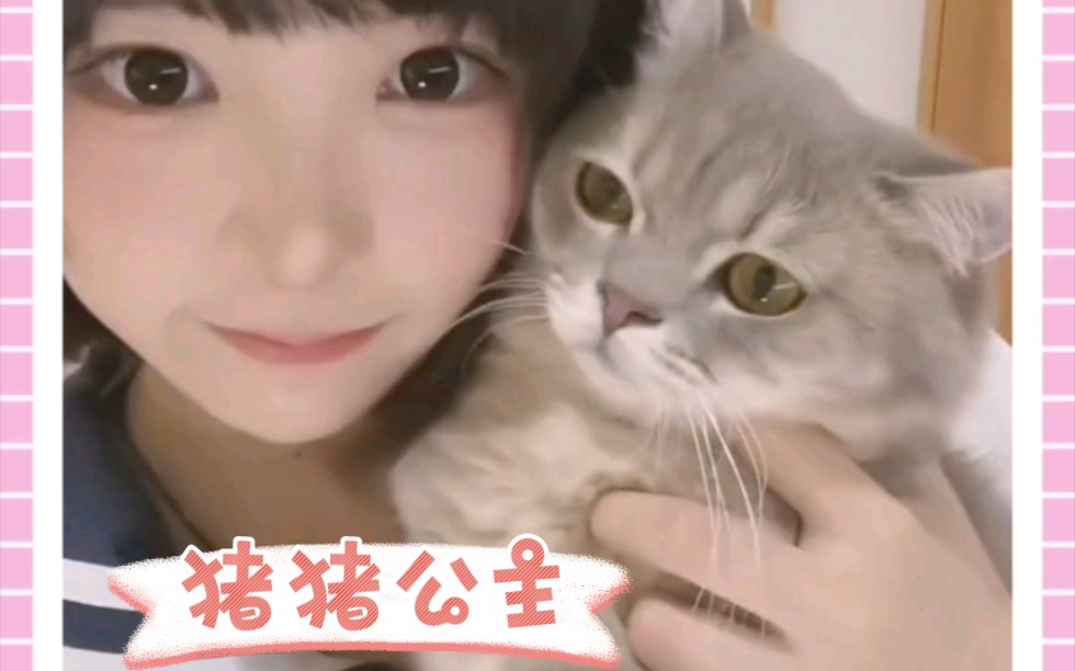 猪猪公主asaki哔哩哔哩bilibili