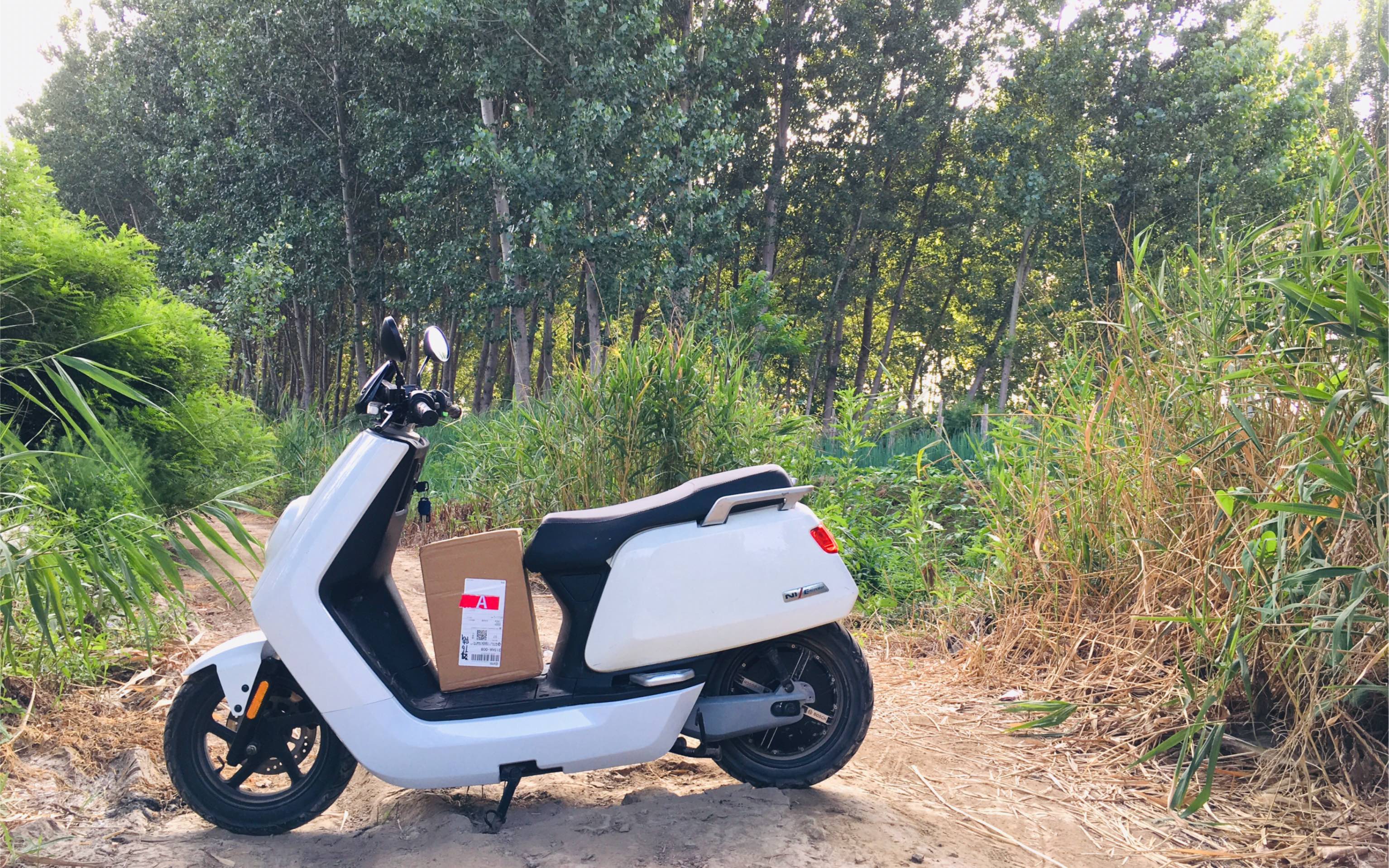 小牛 n1 动力版 拉力越野 电动车