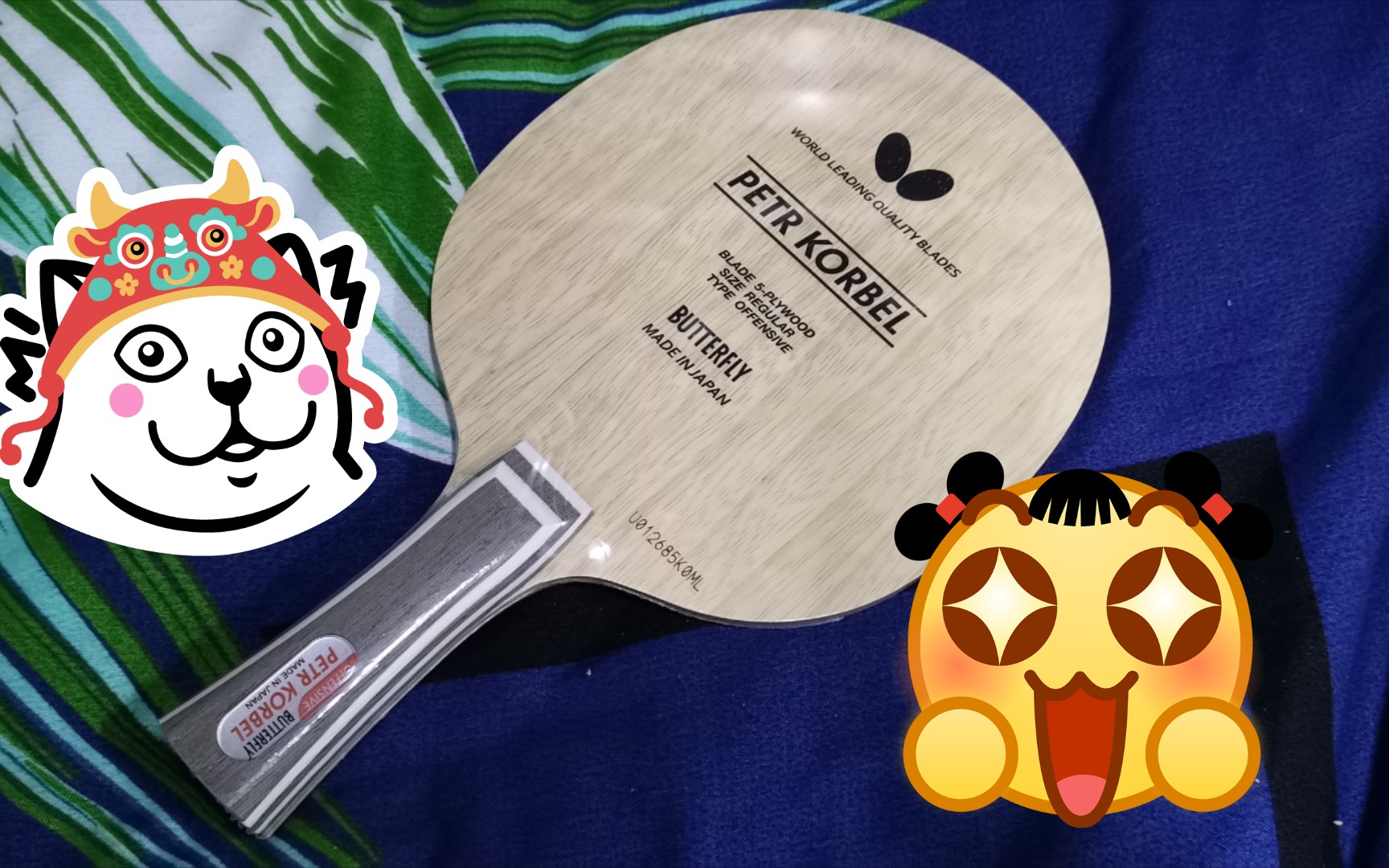 【乒乓球】老球拍蝴蝶科贝尔butterfly petr korbel粘拍试打体验记录