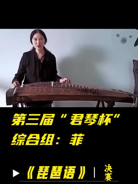 我是唐菲,我正在参加君琴杯决赛,参赛曲目《琵琶语》.哔哩哔哩bilibili