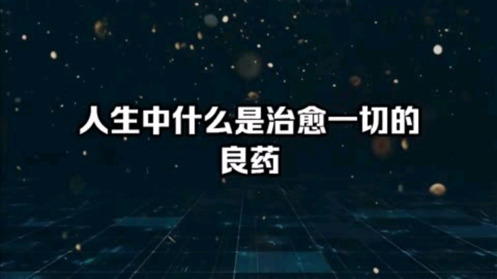 人生中什么是治愈一切的良药