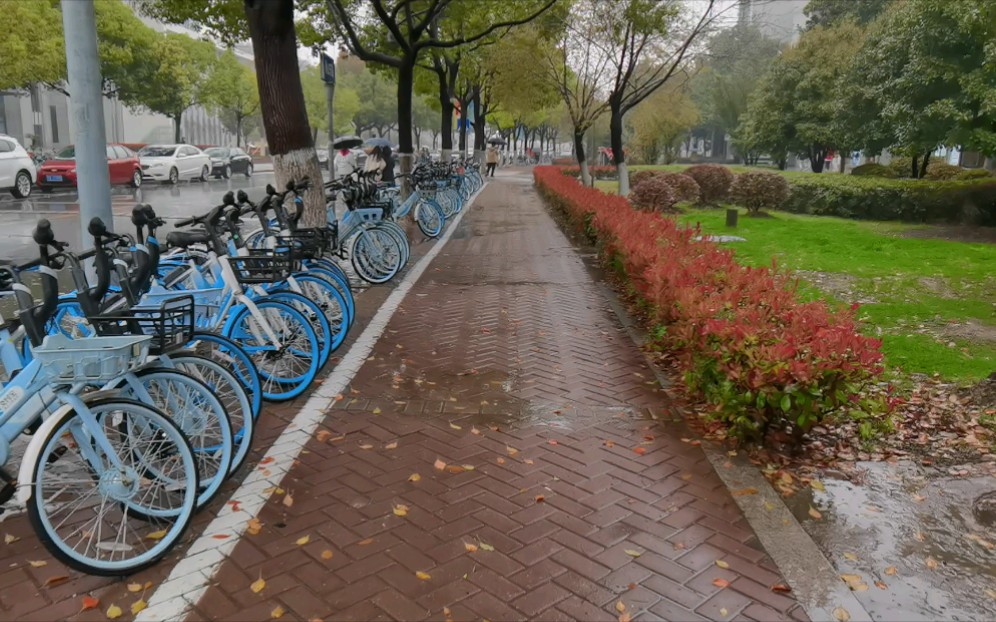 [图]南邮雨中漫步 | 春分时节