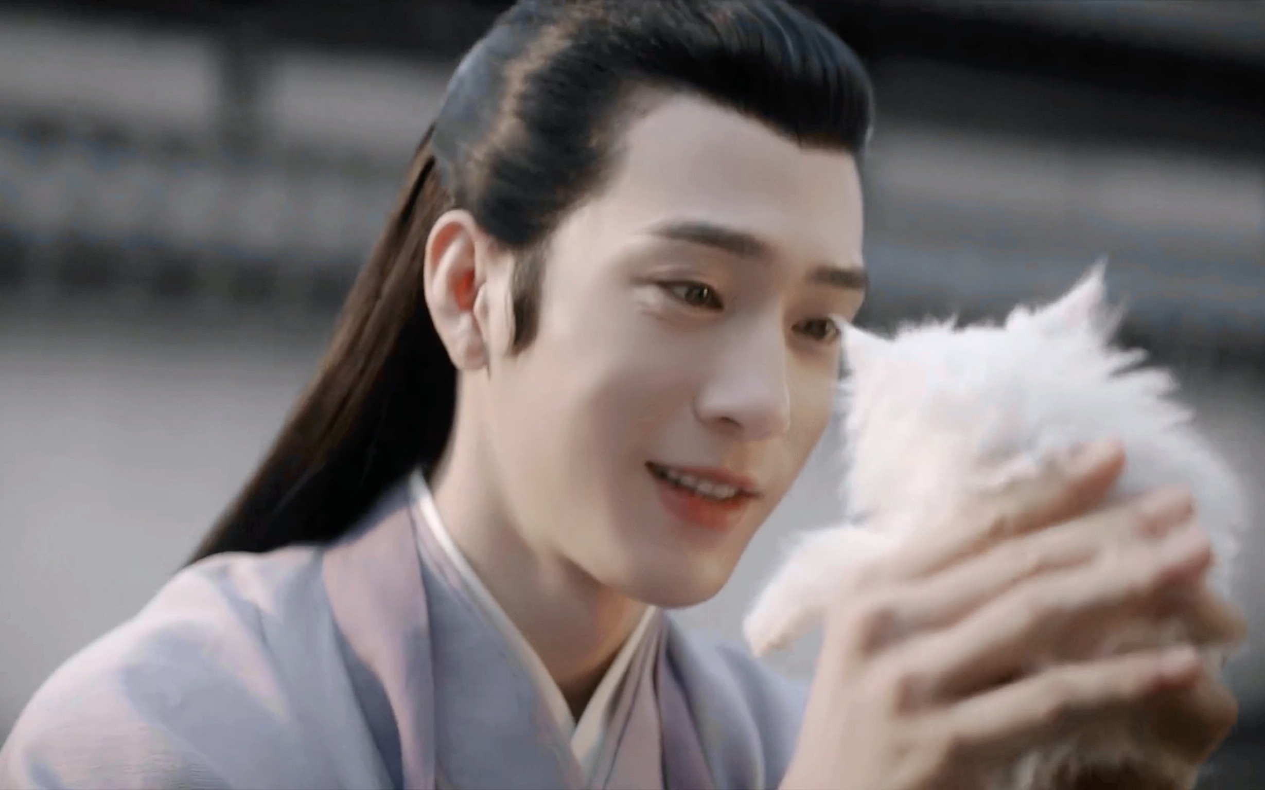 【井柏然|兰珏】别管了当猫去了