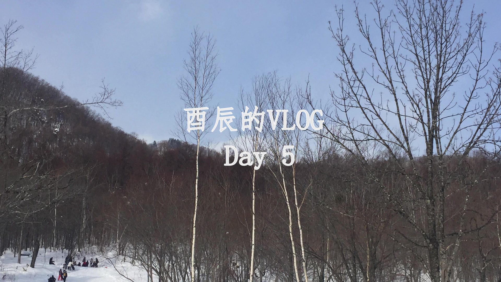 【酉辰的VLOG】日本跟团游 Day5哔哩哔哩bilibili