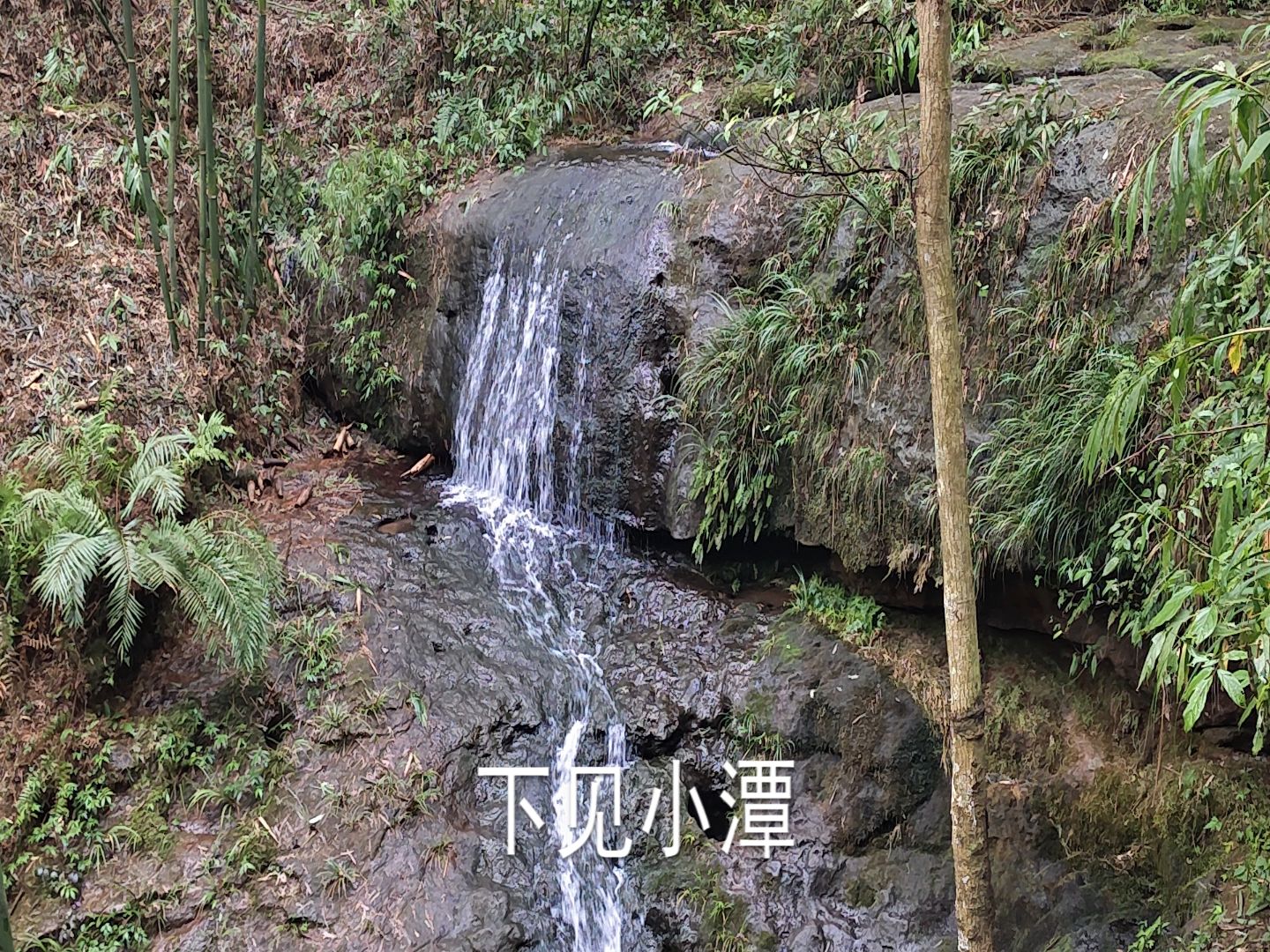 【小石潭记】