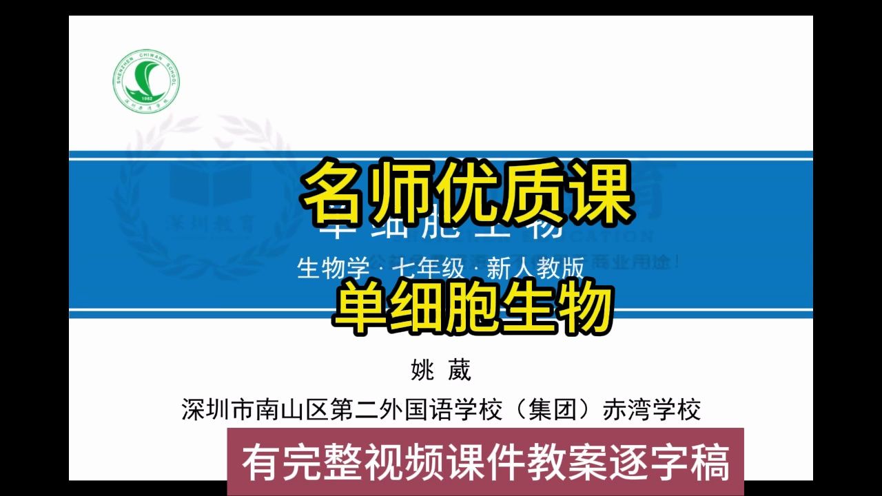 深圳微课大赛初中生物2022单细胞生物:初中生物新课标学习任务群|名师优质课公开课示范课(有完整视频课件教案逐字稿)哔哩哔哩bilibili