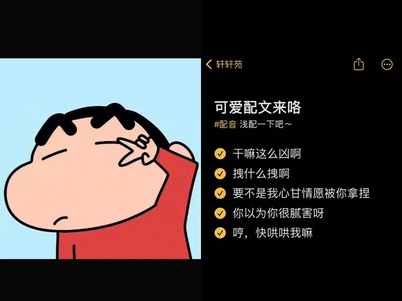 不许凶我!!!哔哩哔哩bilibili