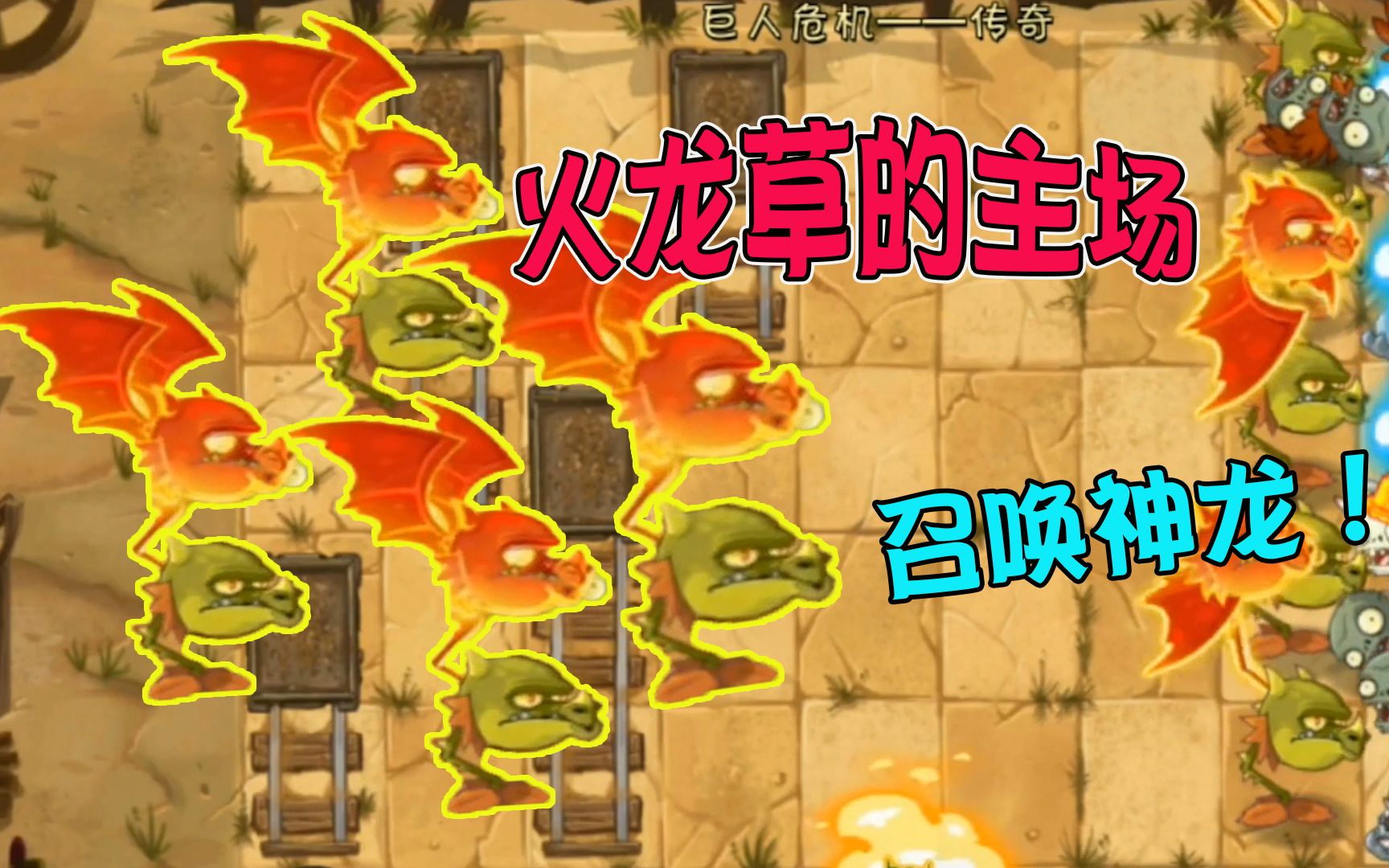 植物大战僵尸火龙草火遍全场召唤神龙那一刻我爱了