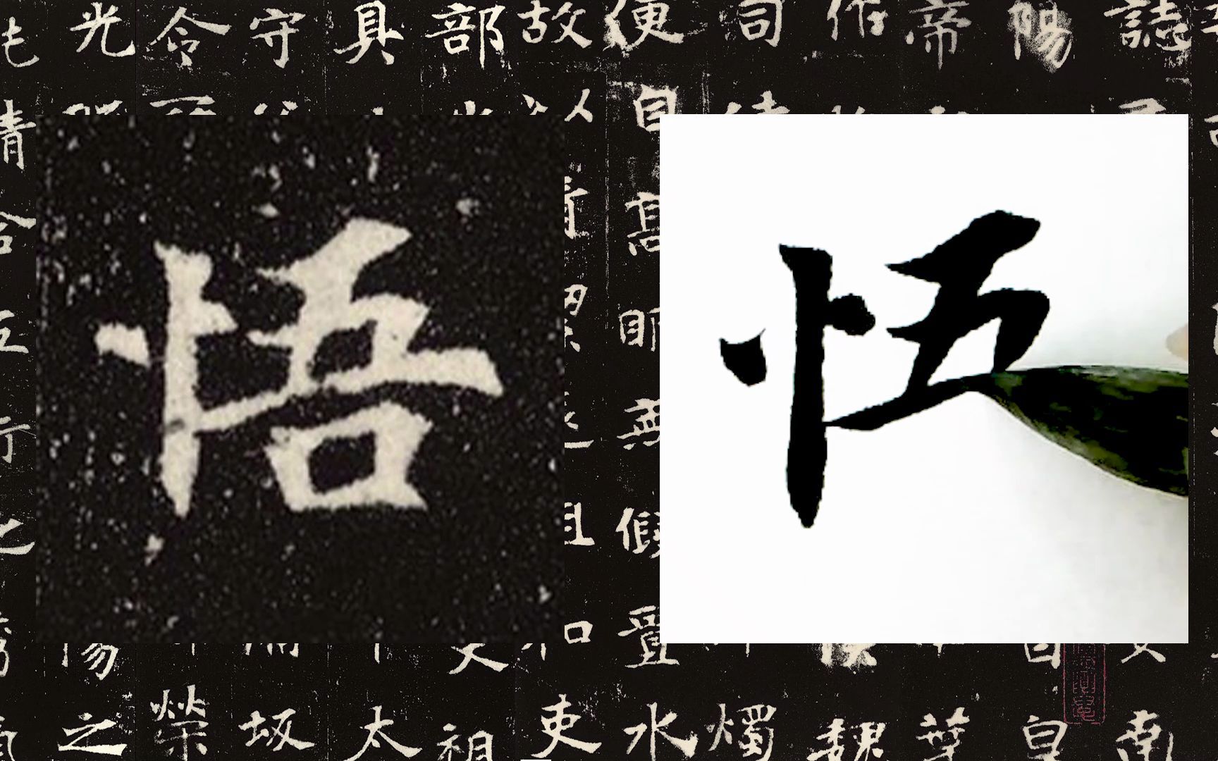 [图]【每日一字】书法系列，周东芬临北魏墓志《张黑女墓志》“悟”字