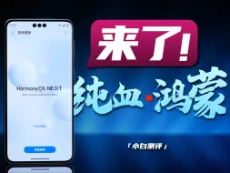 Tải video: 「小白」鸿蒙NEXT Beta体验：从0到1的开始！