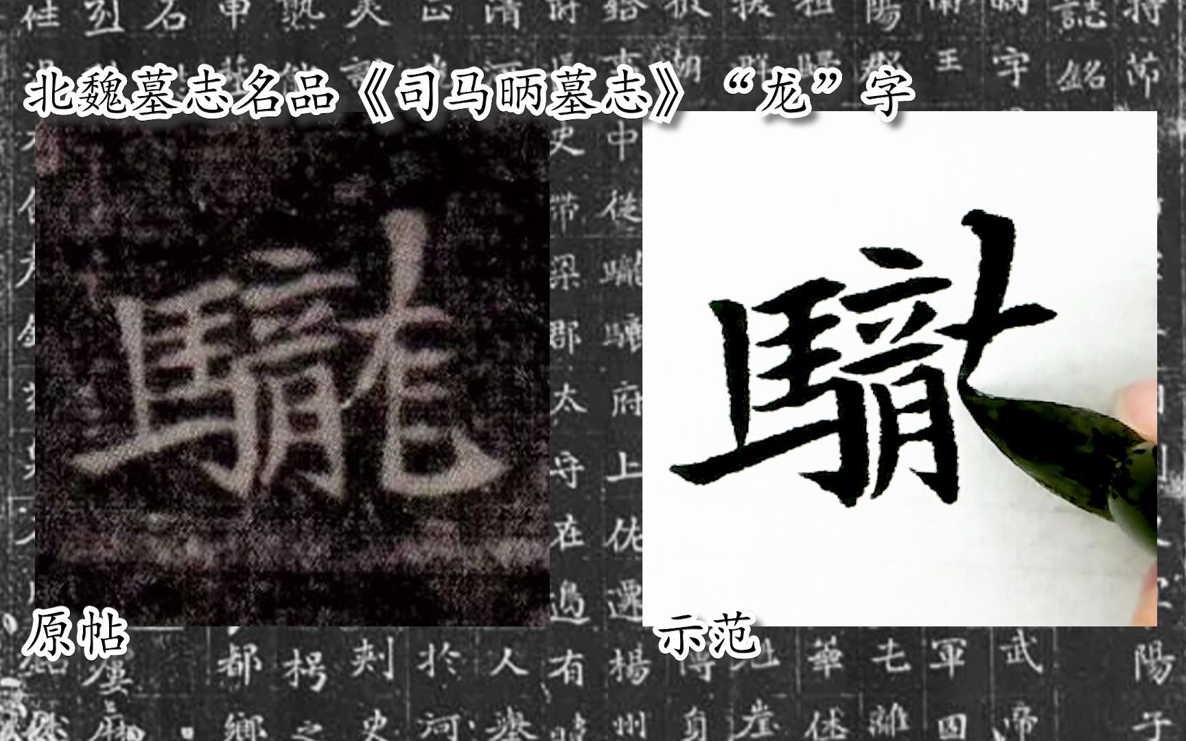 [图]【每日一字】书法系列，周东芬临北魏楷书《司马昞墓志》“龙”字