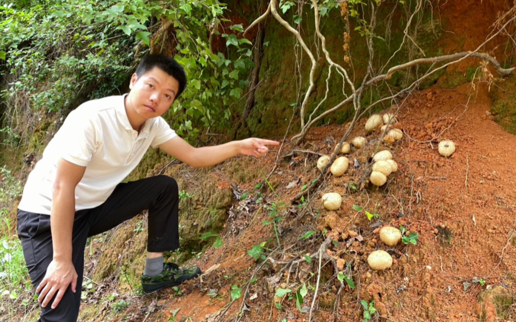 福建老板给我转1000元,让我摘10斤“马屁包”寄给他,被我拒绝了哔哩哔哩bilibili