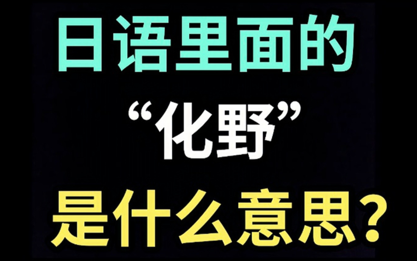 日语里的“化野”是什么意思?【每天一个生草日语】哔哩哔哩bilibili