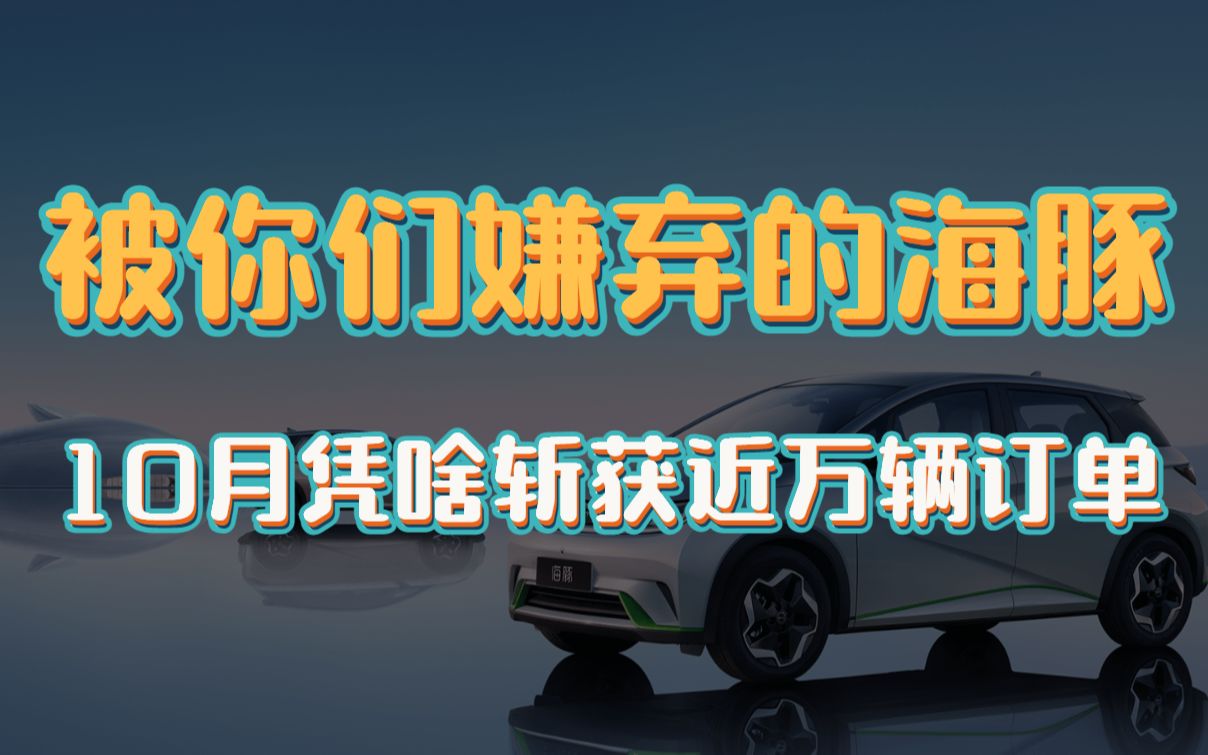 那个被你们嫌弃的海豚,10月订单接近万辆,究竟打了谁的脸?哔哩哔哩bilibili