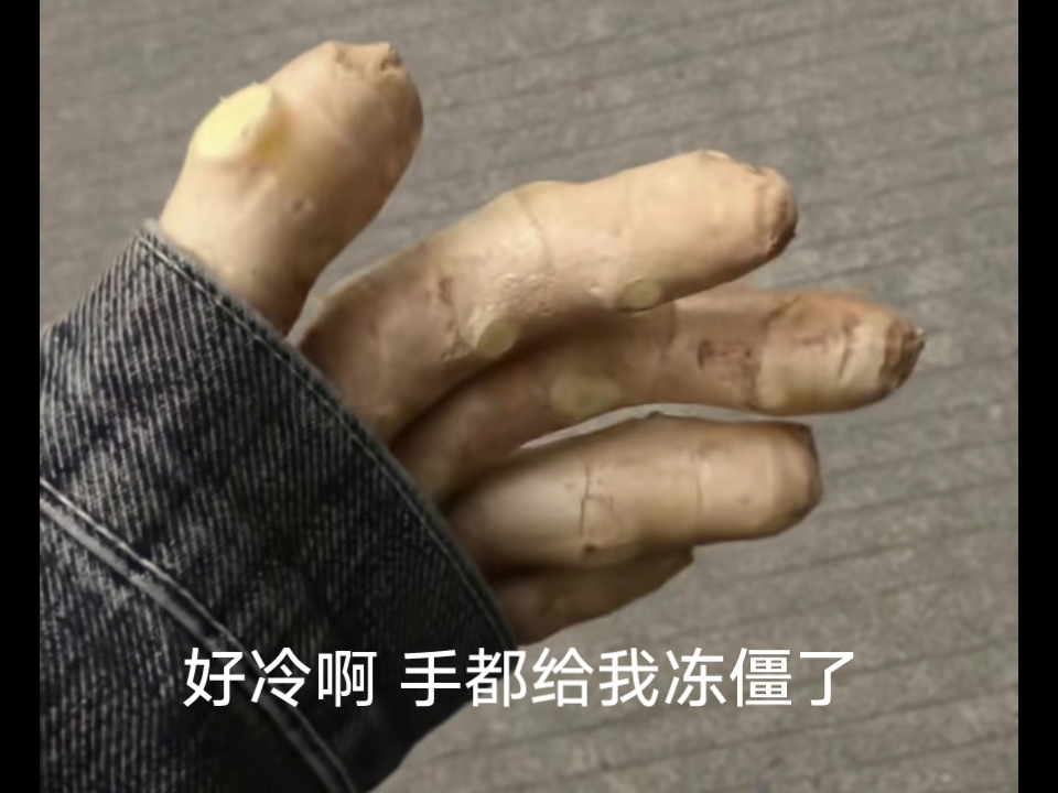 好冷啊 手都给我冻姜了