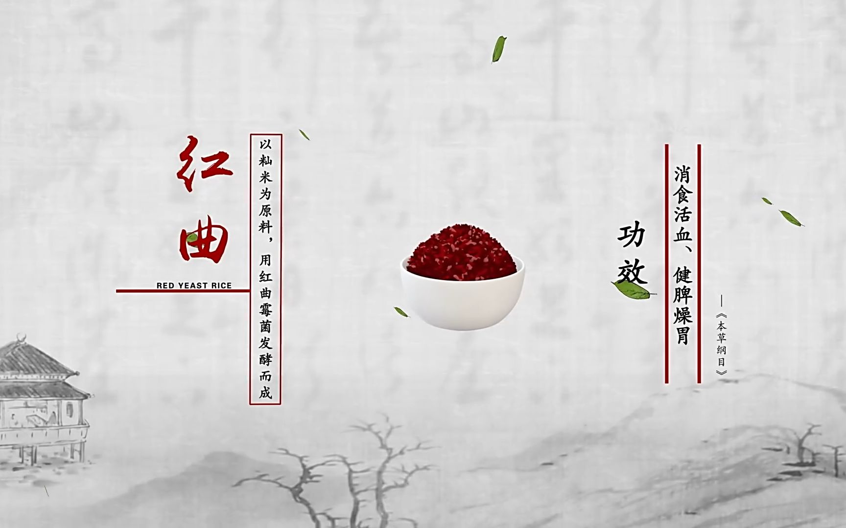 《本草中国》红曲