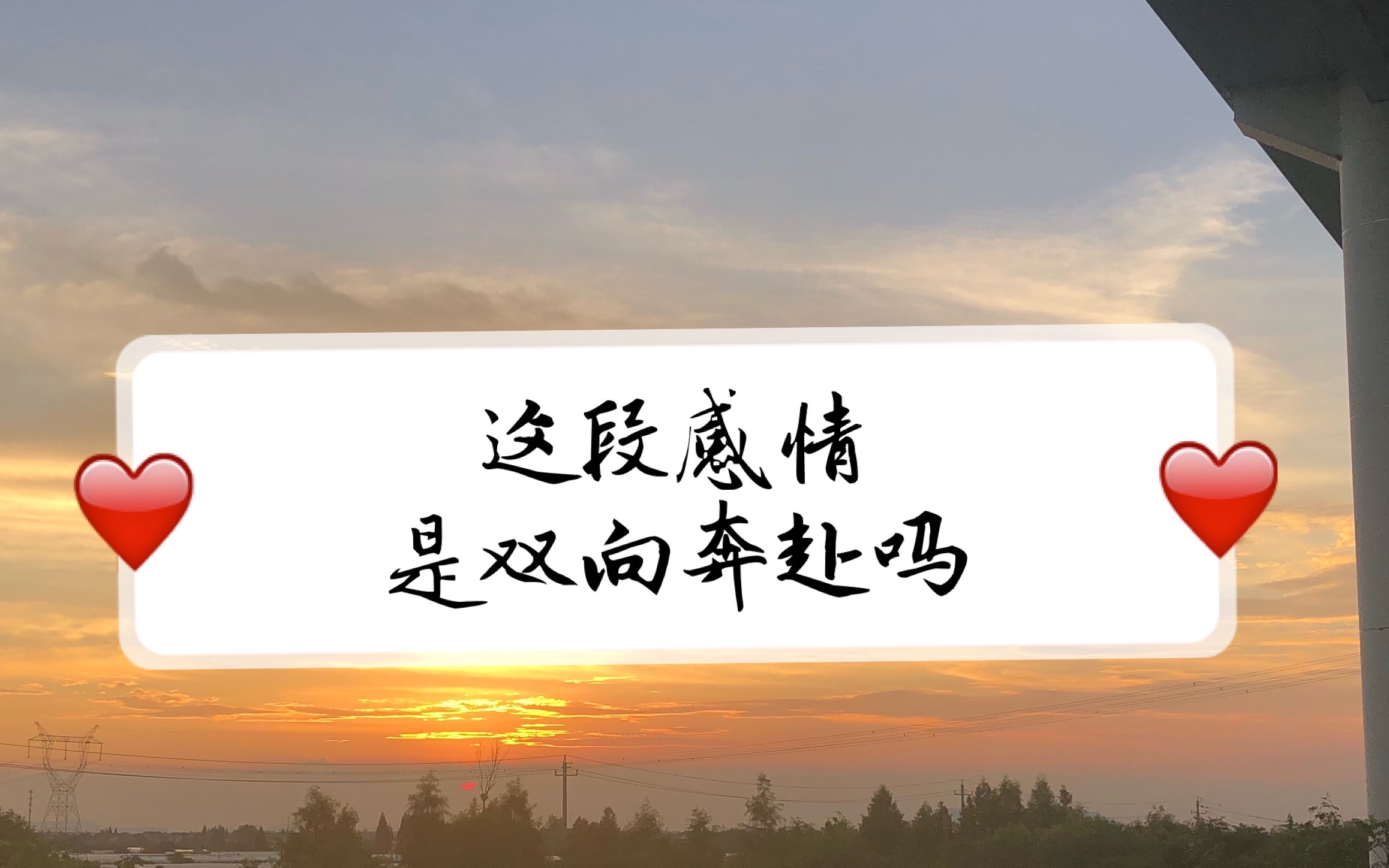 活动  【su塔罗】这段感情是双向奔赴/两情相悦的吗?