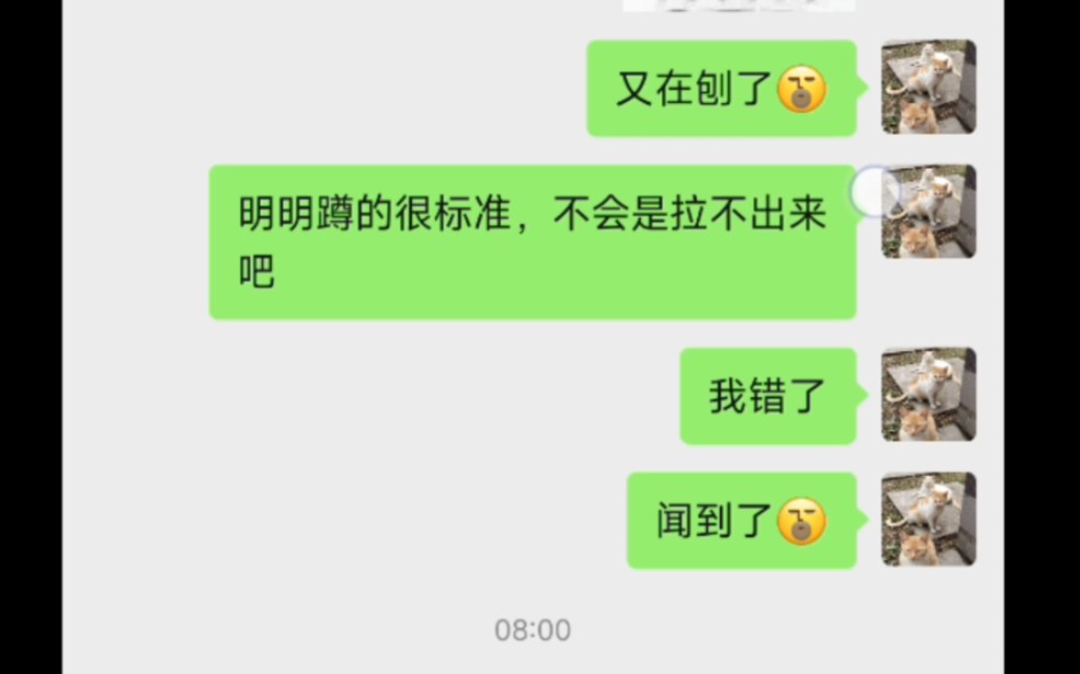 哈哈哈,把猫砂盆放床底的大傻子哔哩哔哩bilibili