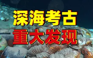 Download Video: 好多文物现场影像！我国南海深海有重大发现！