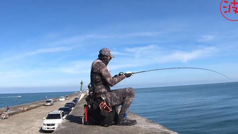 堤防上有多种玩法 能钓上来许多海水小物种 波爸 钓鱼 路亚 海钓 哔哩哔哩