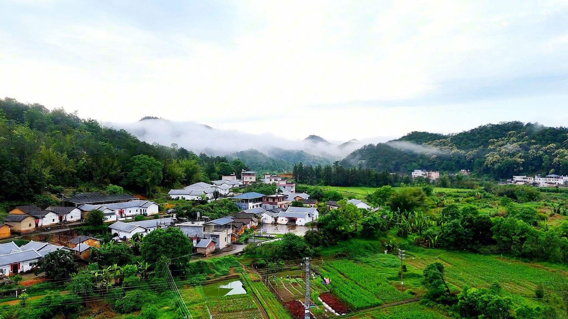 雨后的梅州小山村,分享一下我的居住环境,大家喜欢这样的地方吗?哔哩哔哩bilibili