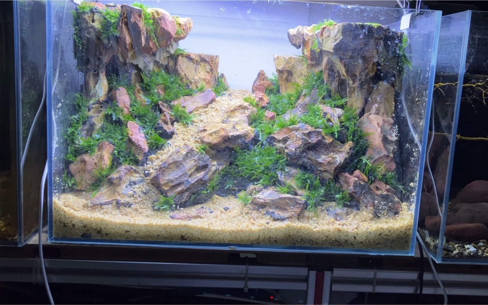 小鱼缸松皮石水草造景