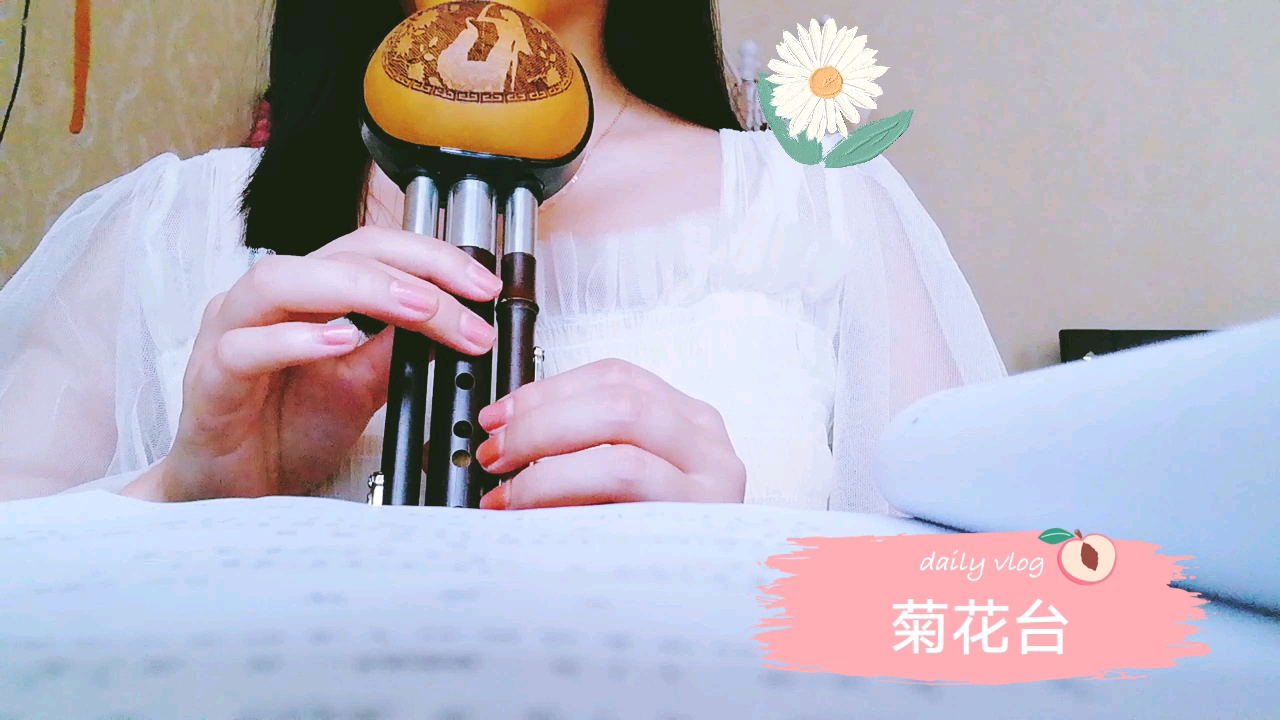 【葫芦丝】菊花台哔哩哔哩bilibili