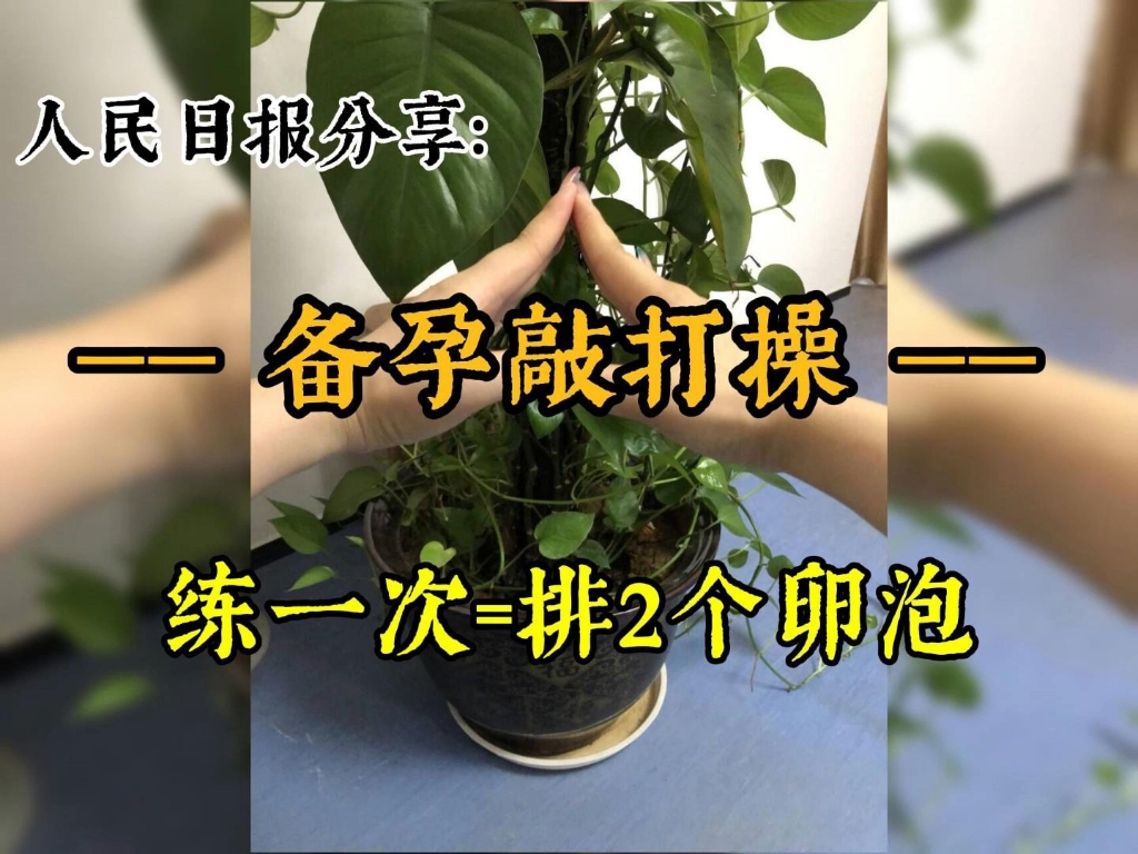 备孕敲打操‖快来每天跟我一起练吧哔哩哔哩bilibili