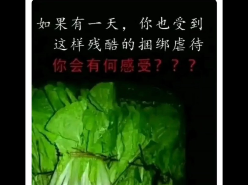 “素食吧”的难绷时刻哔哩哔哩bilibili