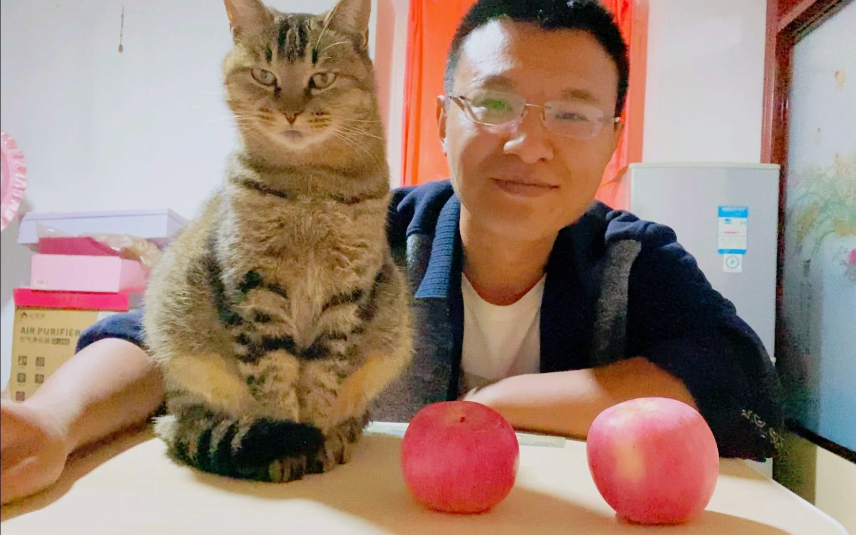 [图]小猫咪为了这个家操醉了心