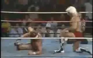 Descargar video: 1985.11.16 Mid-South Wrestling TV #323－Ric Flair vs. Ted DiBiase