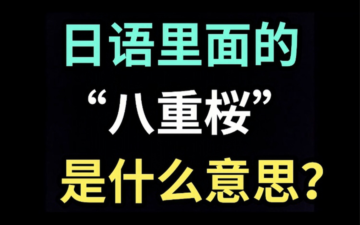 日语里的“八重桜”是什么意思?【每天一个生草日语】哔哩哔哩bilibili