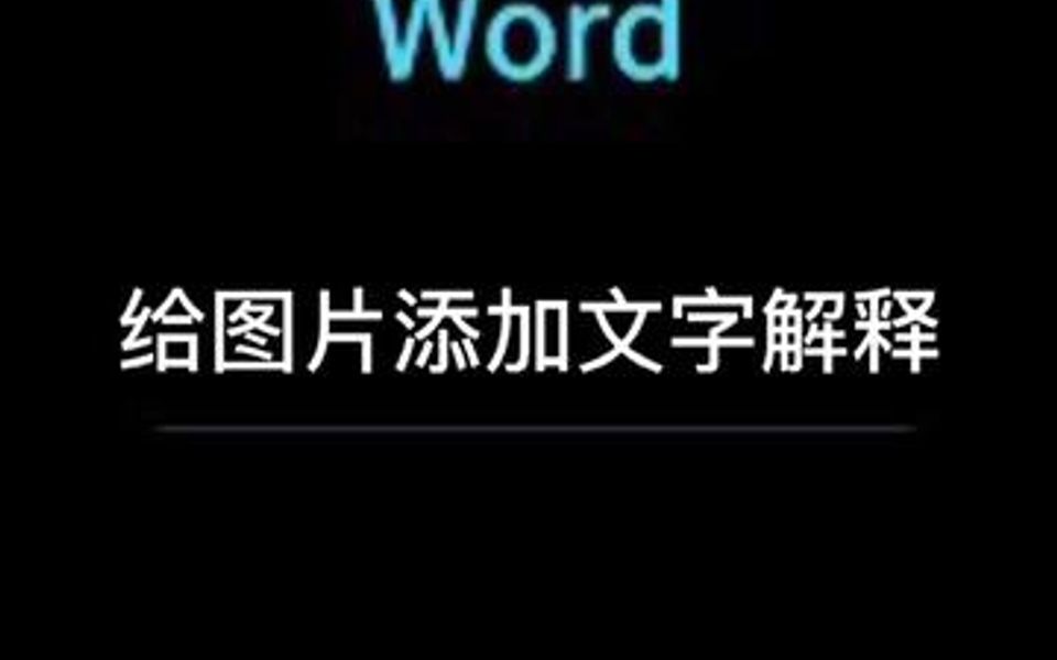 给图片添加文字解释哔哩哔哩bilibili