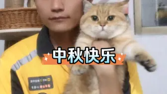 Download Video: 大古和他的猫｜中秋快乐，吃月饼啦！