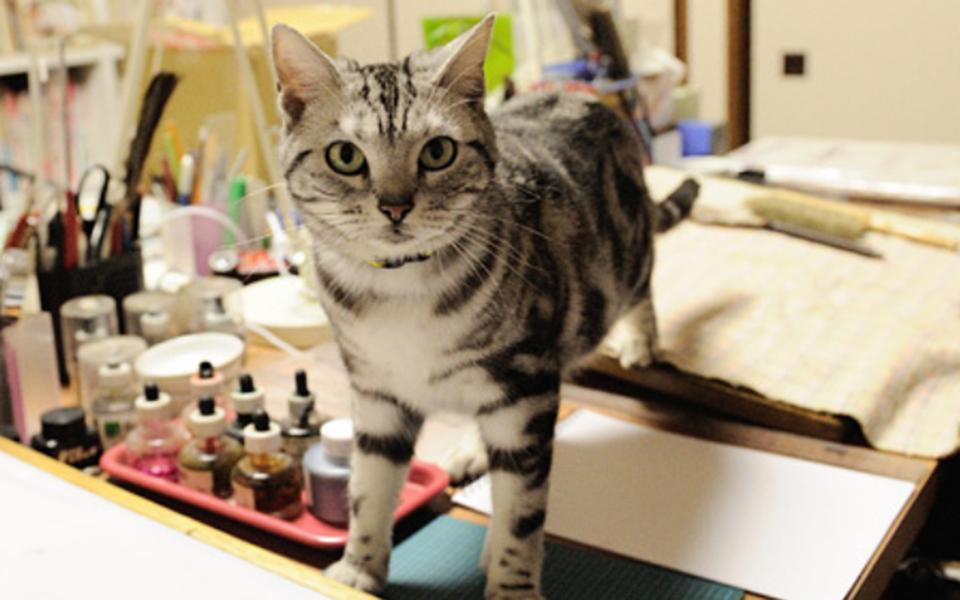 咕咕是一只猫 1集